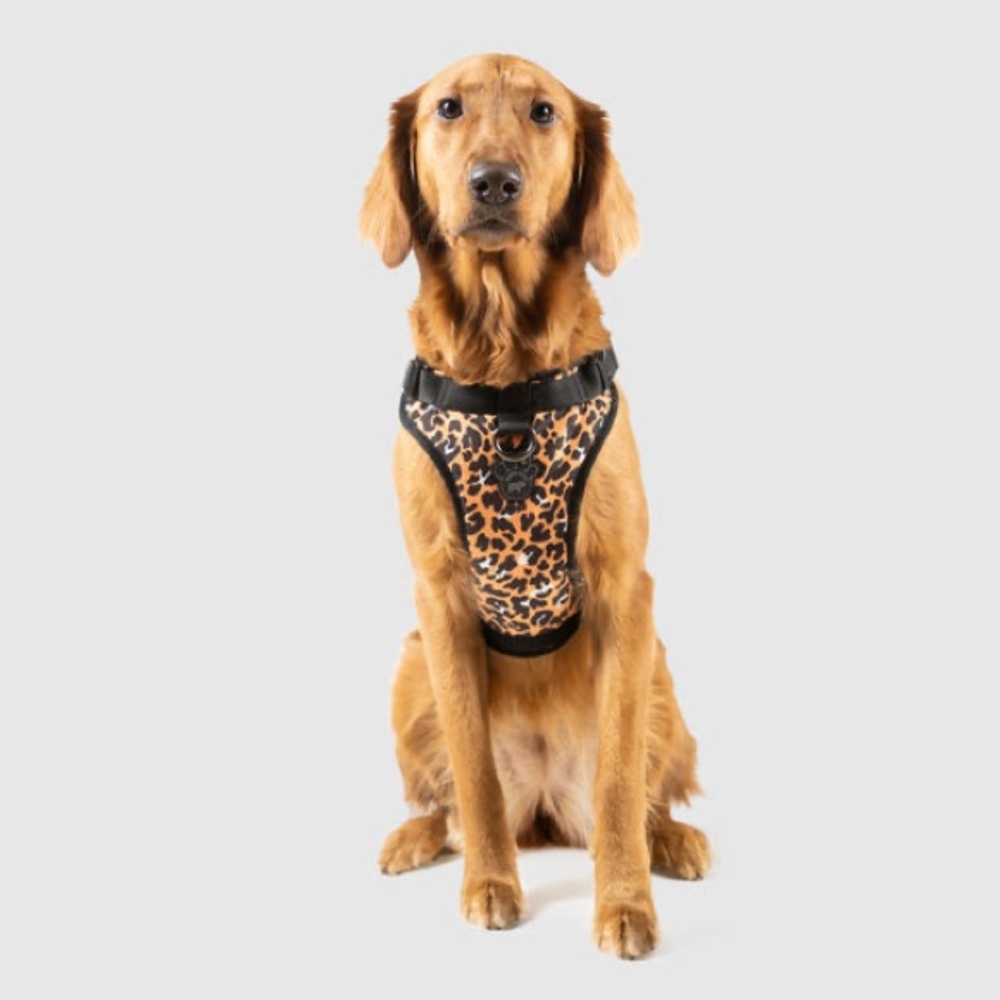 Canada Pooch leopard print The Everything harness sz L. NWT